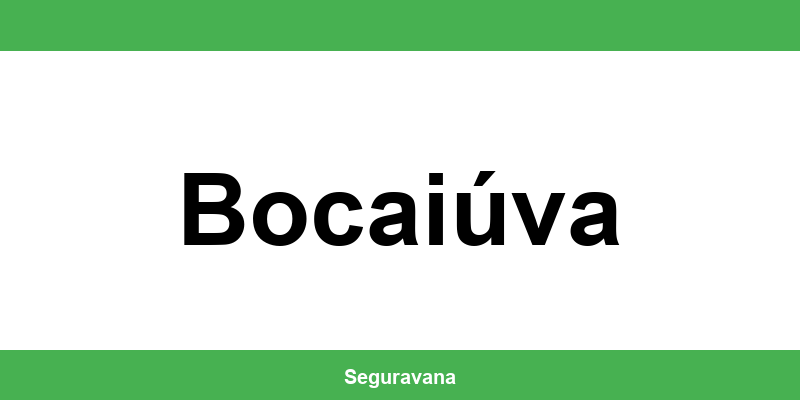 Telefone das agências do INSS em Bocaiúva