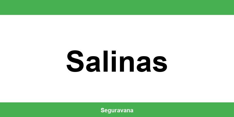 Telefone das agências do INSS em Salinas